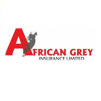 African Grey Insurance Company Logo